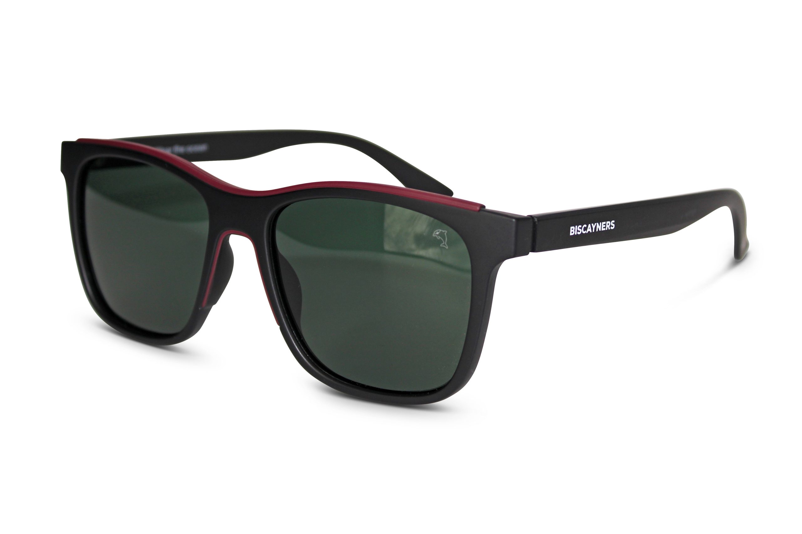 Biscayners Galen Black Sunglasses