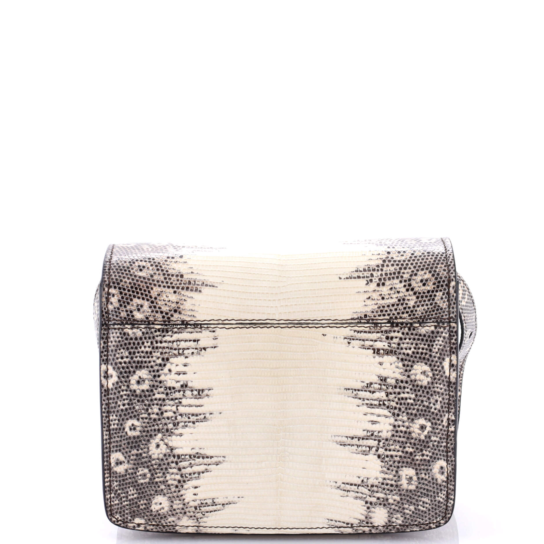 Pre-Loved Celine Classic Box Bag Lizard Small - Image 3