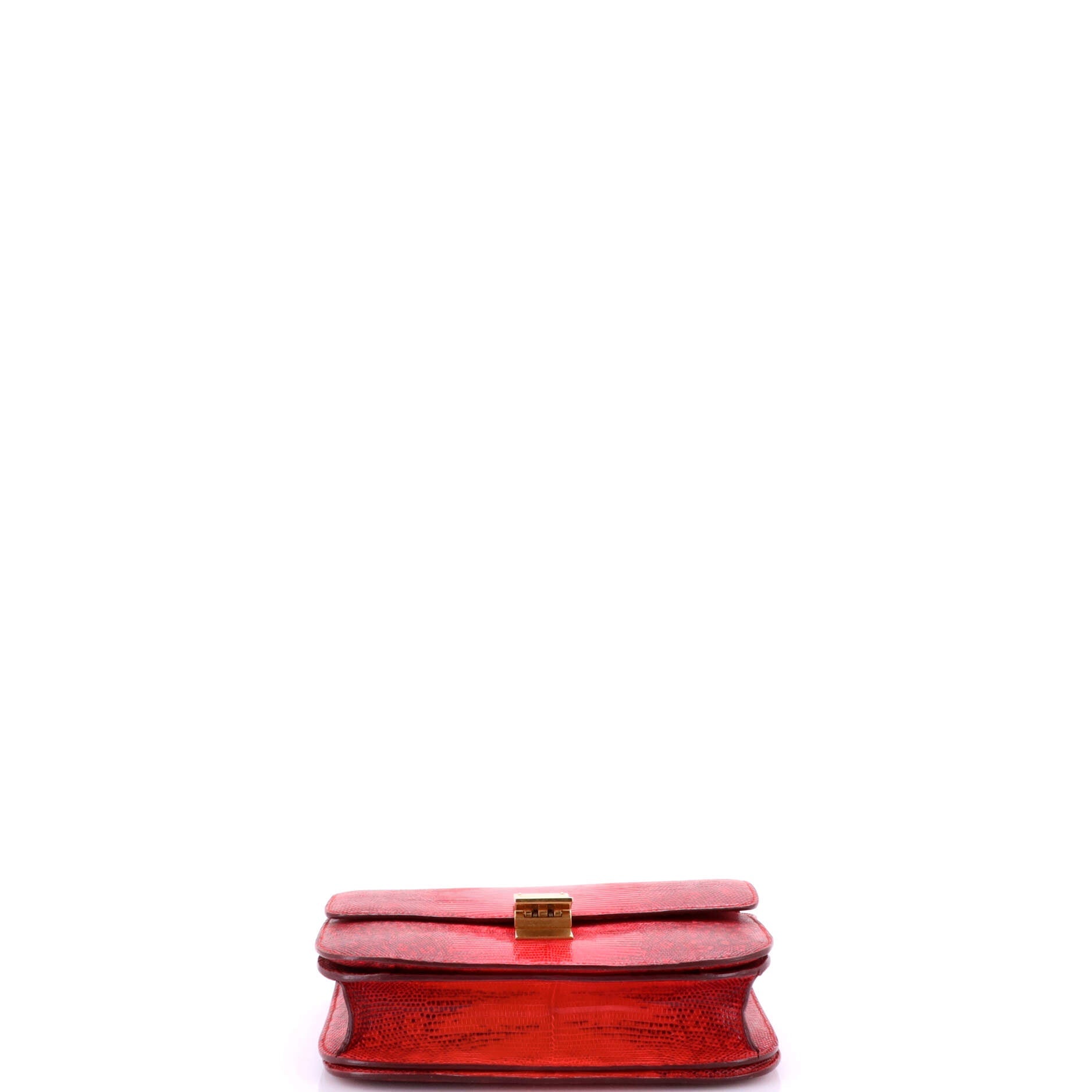 Pre-Loved Celine Classic Box Bag Lizard Medium - Image 4