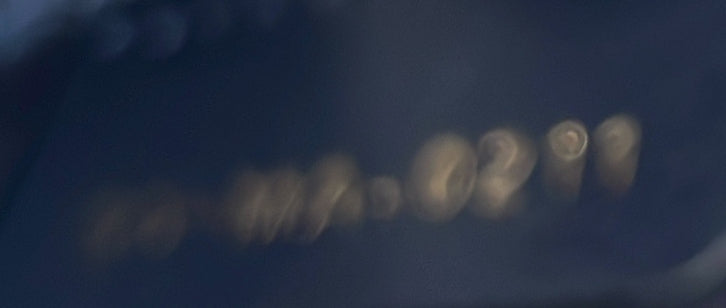 Pre-Loved Christian Dior Toile de Jouy Lady D-Lite Bag Embroidered Canvas - Image 6