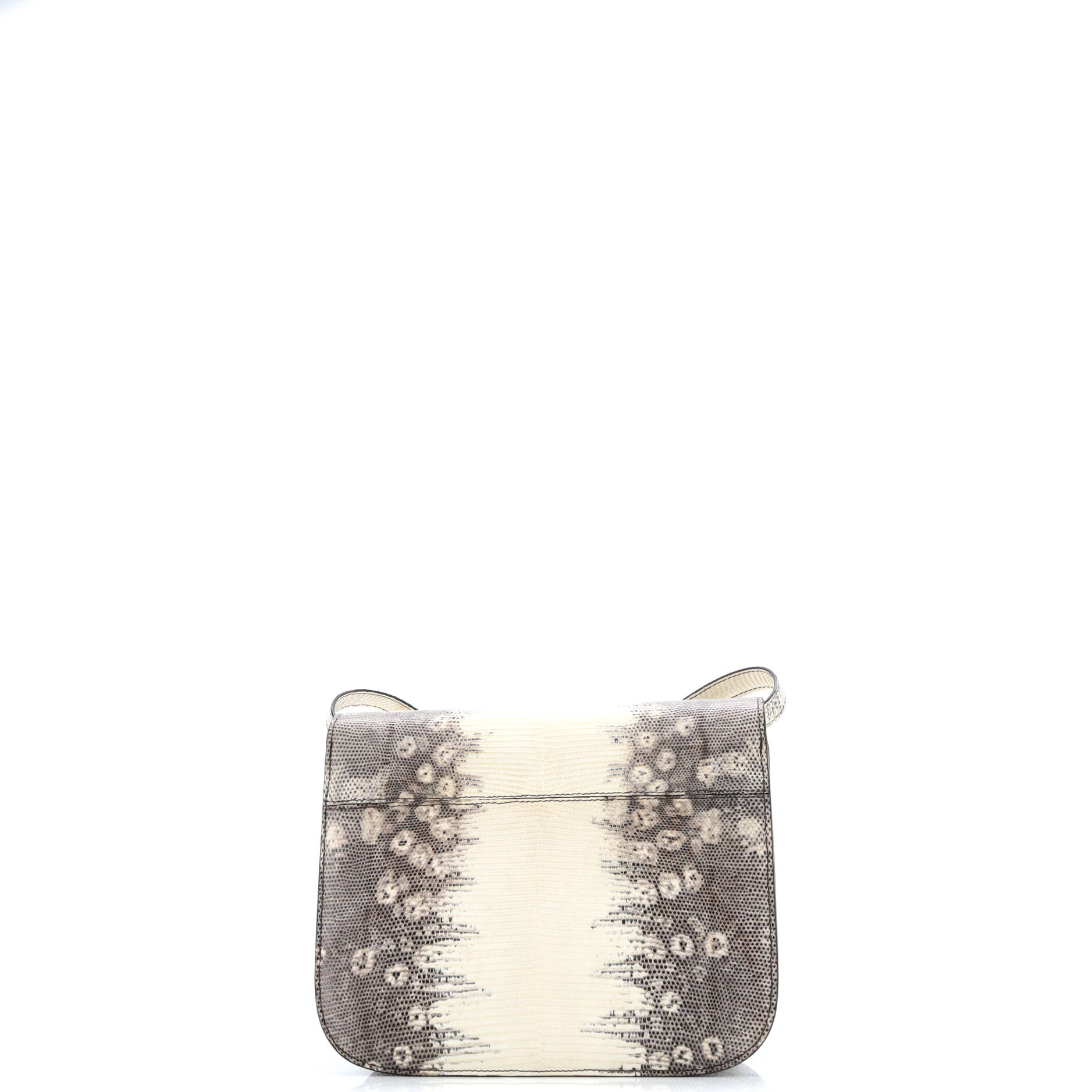 Pre-Loved Celine Classic Box Bag Lizard Medium - Image 3