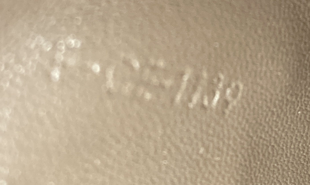 Pre-Loved Celine Classic Box Bag Lizard Medium - Image 7