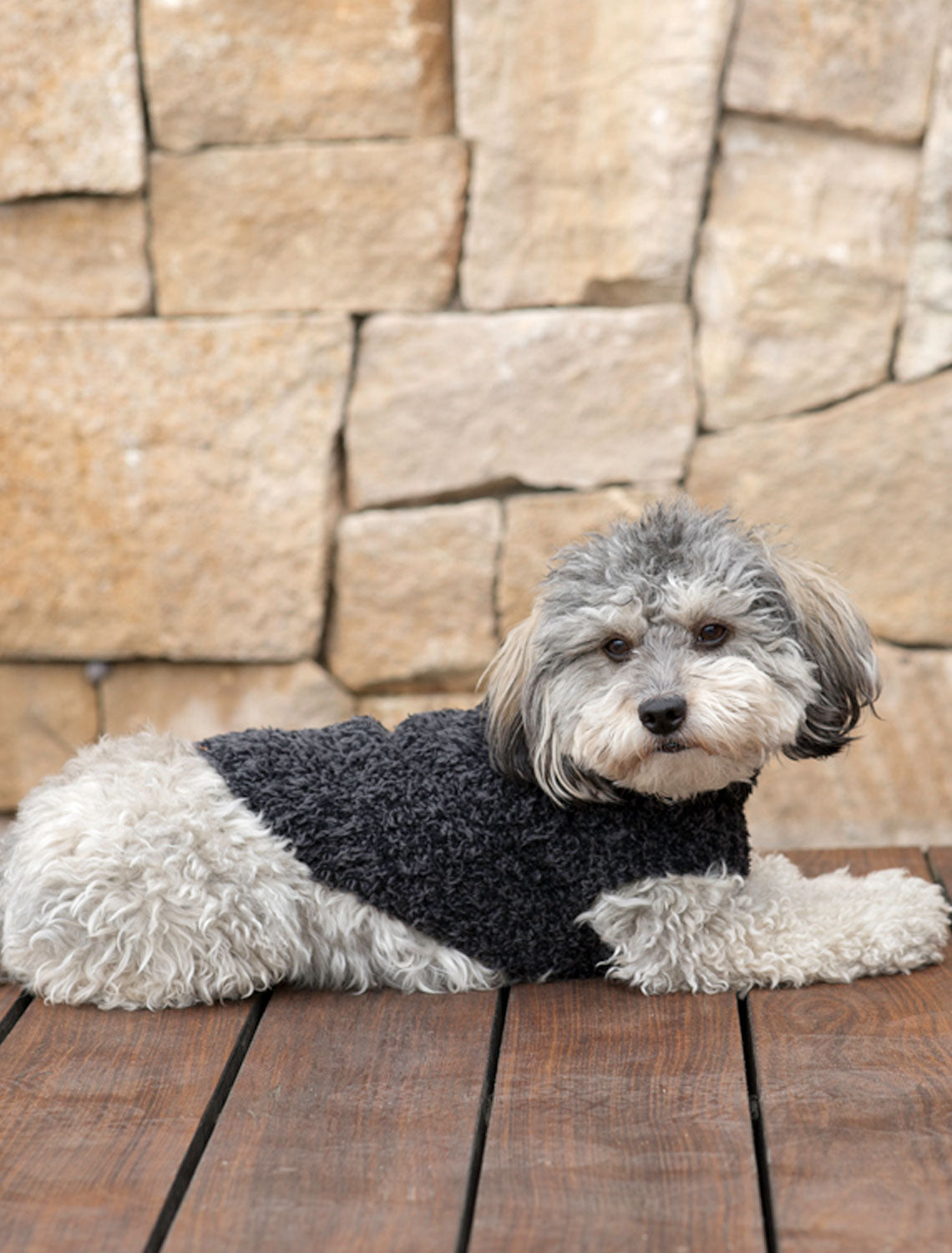 Barefoot Dreams CC Ribbed Pet Sweater Carbon Black - Image 2