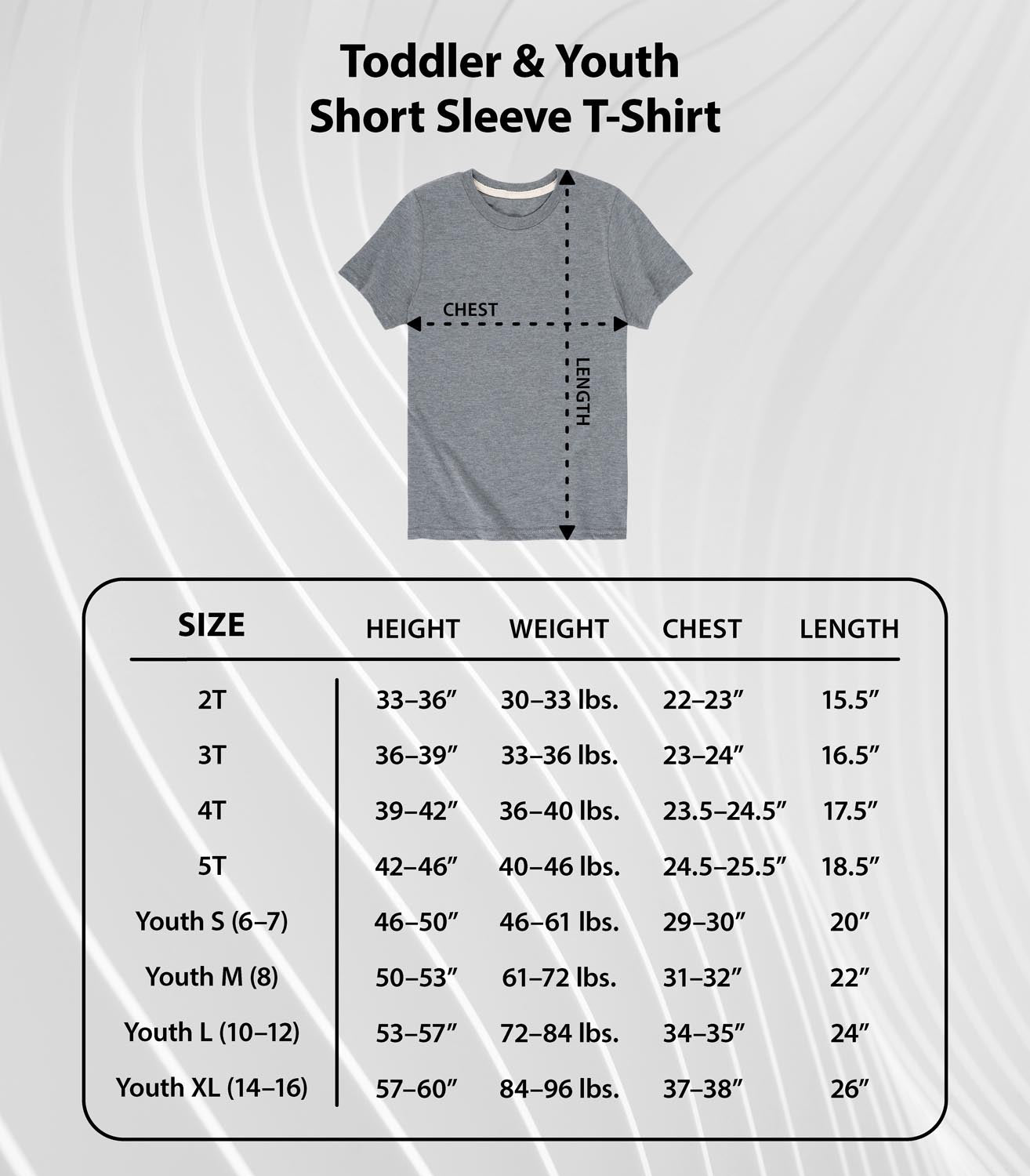 Wicked - Defy Gravity - Boys Toddler and Youth Short Sleeve Graphic Tee - Image 21