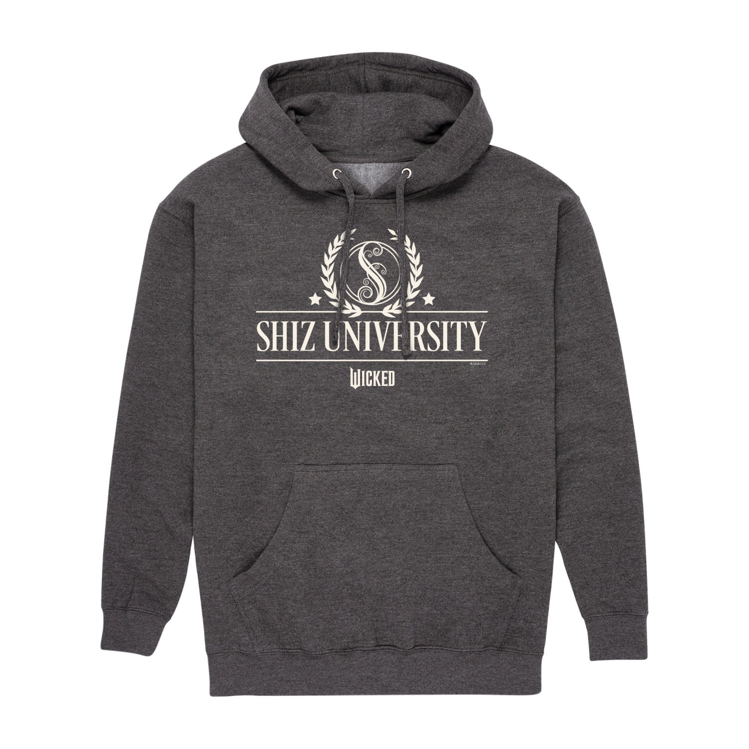 Wicked - Shiz University - Men's Long Sleeve Fleece Pullover Hoodie