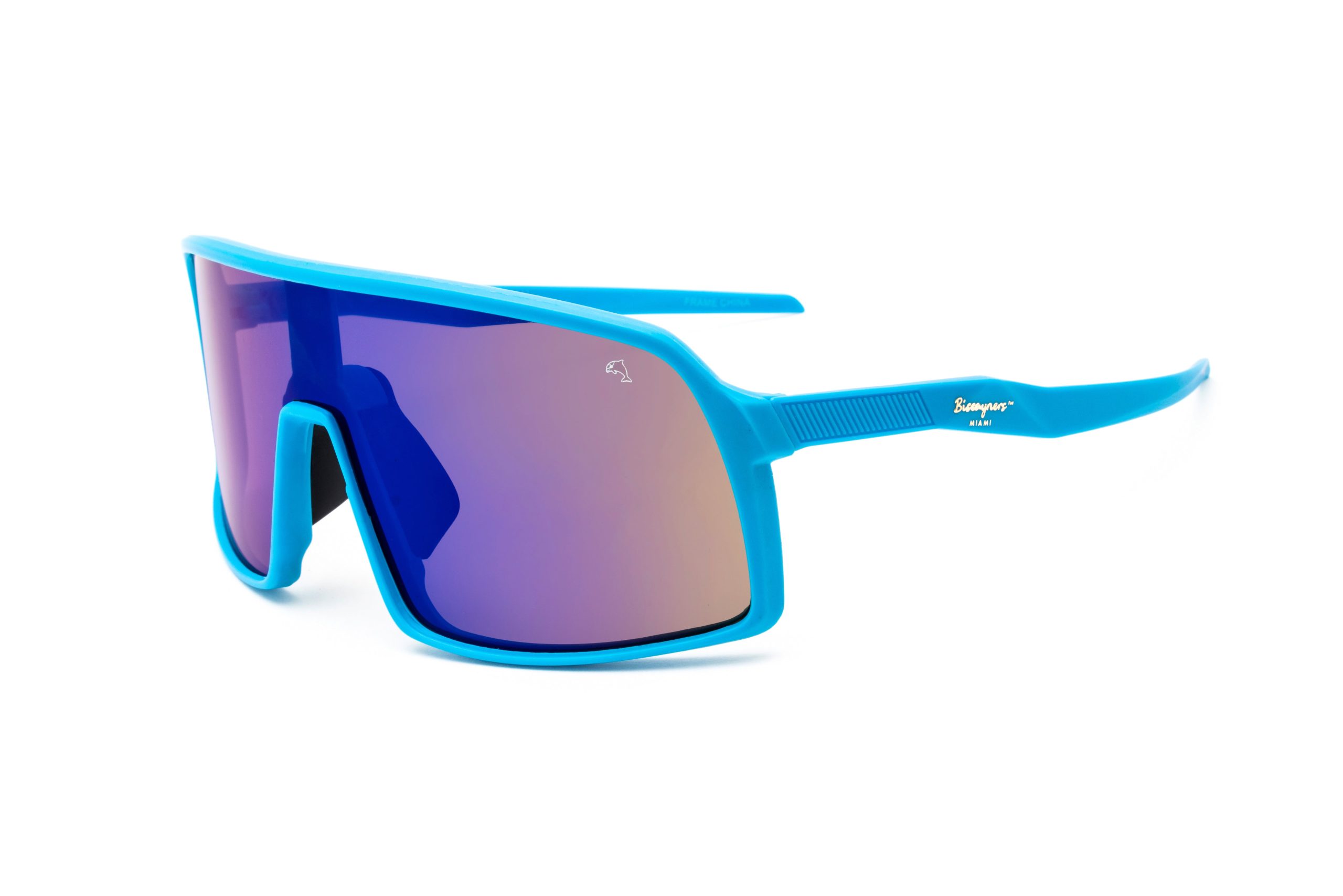 Biscayners Harbor Blue Men's Sunglasses