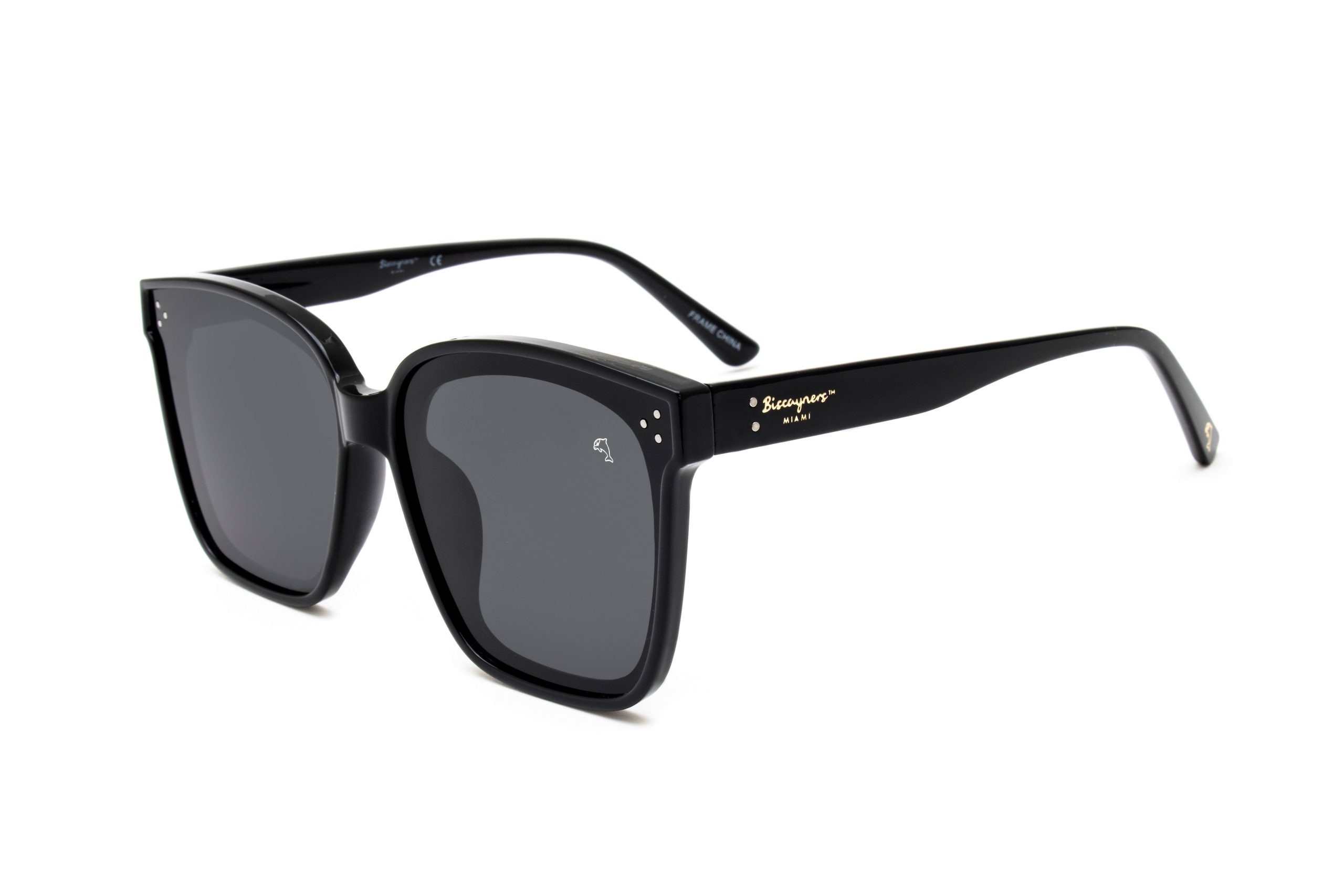 Biscayners Warren Black Sunglasses