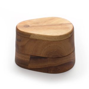 Ironwood Double Layer Swivel Salt Box