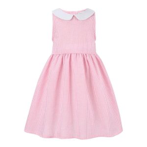 Pink Gingham Peter Pan Collar Sleeveless A-Line Dress
